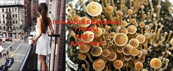 ПСИЛОЦИБИНОВЫЕ ГРИБЫ Ростов