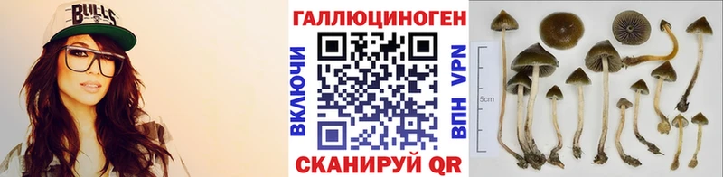 Псилоцибиновые грибы мухоморы  Новая Ляля 